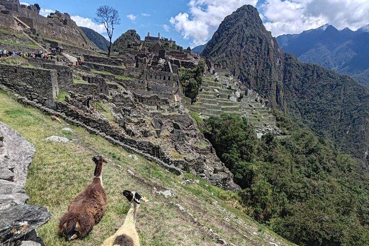 Machu Picchu Übernachtungstour mit Andenweben