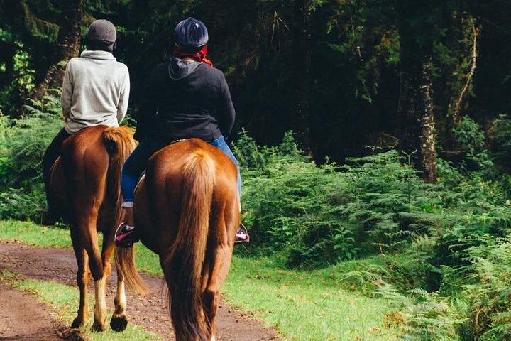 Zipline bei Kereita, Hellsgate Abenteuer durch Lake Naivasha