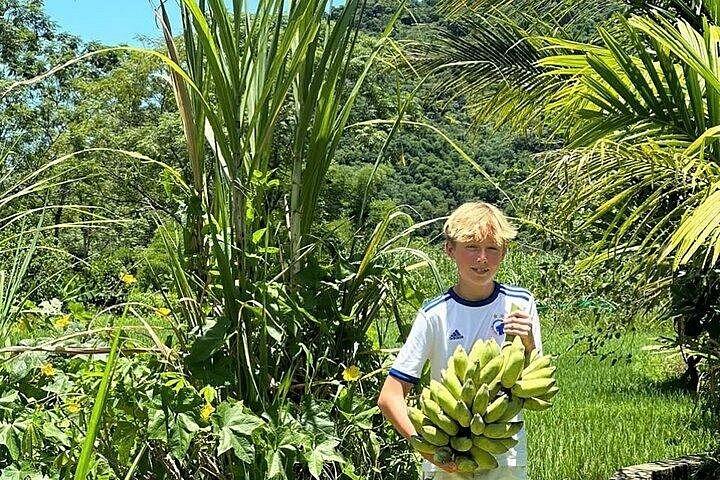 2 - デイマイチャウ村、サイクリング、伝統