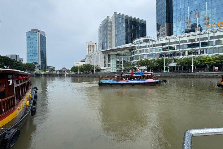 Singapore River Cruise, Night Garden Rhapsody en Spectra Tour