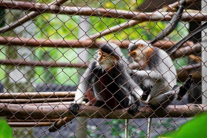 マイチャウバレー-プールオン保護区-ニンビンアドベンチャーツアー5D4N