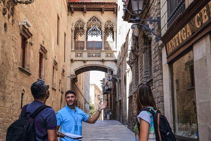 Barcelona Gothic Quarter Cathedral and La Rambla Walking Tour