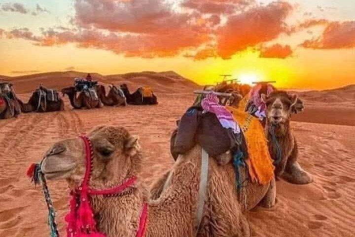 Tour di 3 giorni nel deserto di Merzouga da Marrakech - consigli