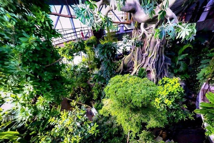 Green Planet Dubai – Het overdekte regenwoud & de wildkoepel
