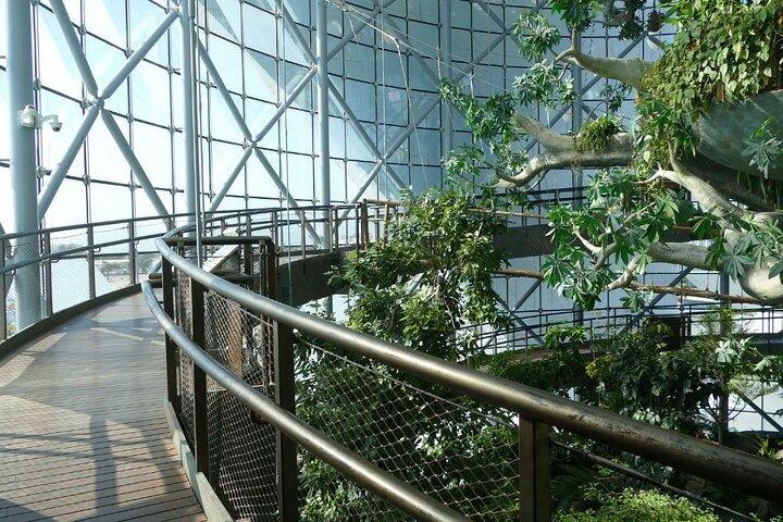 Green Planet Dubai – Het overdekte regenwoud & de wildkoepel