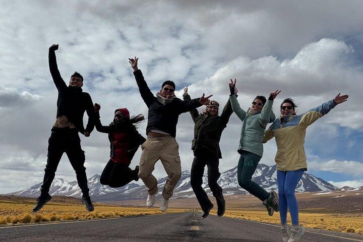 Atacama Desert : Chaxa Lagoon & Altiplanic Lagoons (Ganztägige Tour)