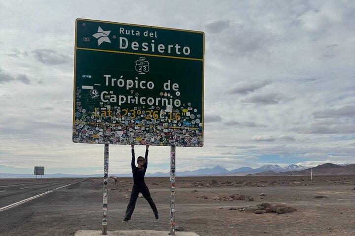 Atacama Desert : Chaxa Lagoon & Altiplanic Lagoons (Ganztägige Tour)