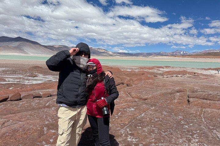 Atacama Desert : Chaxa Lagoon & Altiplanic Lagoons (Ganztägige Tour)