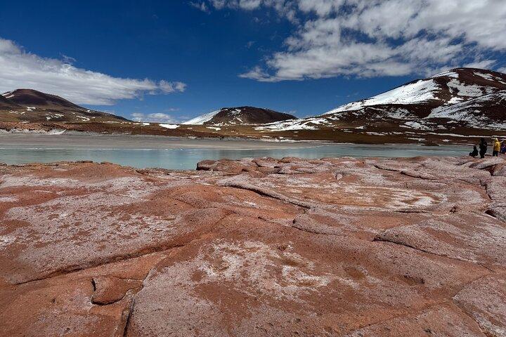 Atacama Desert : Chaxa Lagoon & Altiplanic Lagoons (Ganztägige Tour)