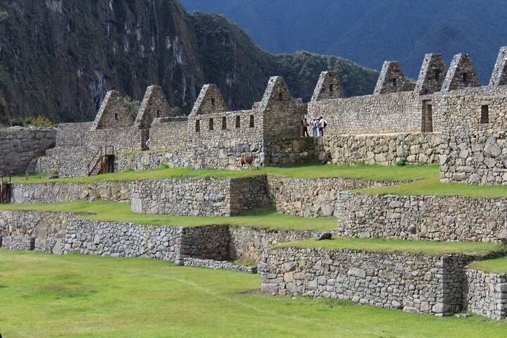 Ticket Machu Picchu with Private Guide