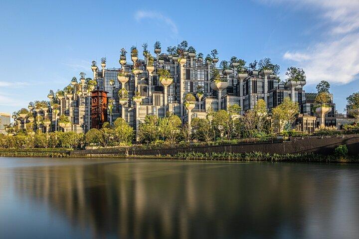 Visite privée à pied de Shanghai : Shikumen, Bouddha de jade, M50,1000 ARBRES
