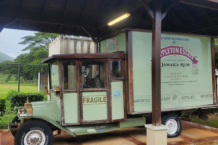 オチョ・リオス発プライベートアップルトンラム工場とサファリツアー