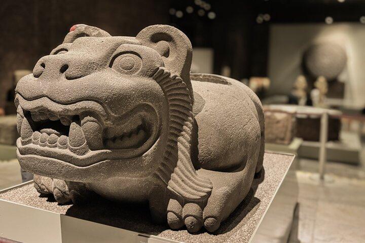 Antropologiska museet och Chapultepec slott med specialister