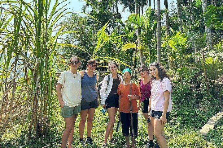 Van Ha Noi/ Ha Long : 5-daags Pu Luong & Ninh Binh Natuuravontuur