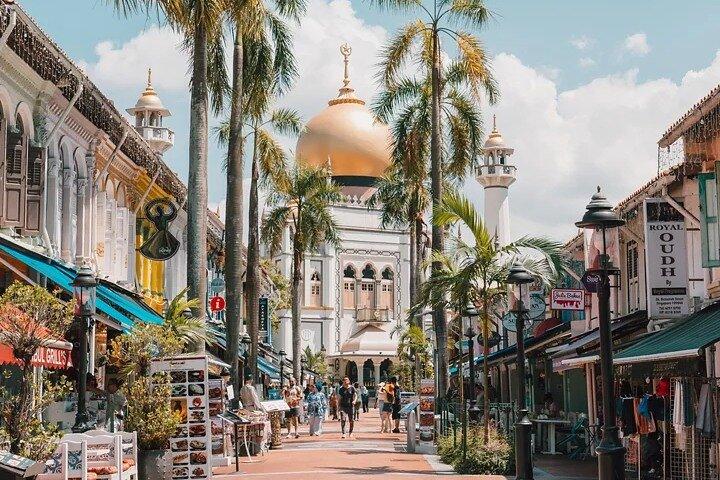 Patrimoine culturel de Singapour lors d'une visite privée à pied