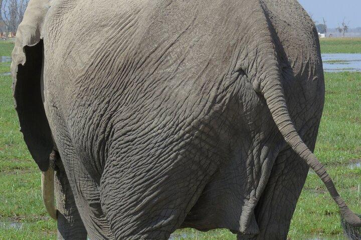 ナイロビからの2日間のマサイマラ国立保護区サファリ