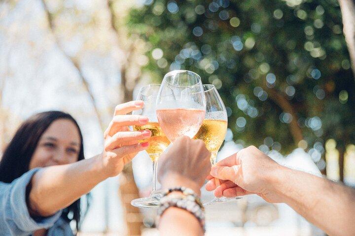 Auckland : Waiheke Island Scenic Tour 4 vignobles, guides locaux