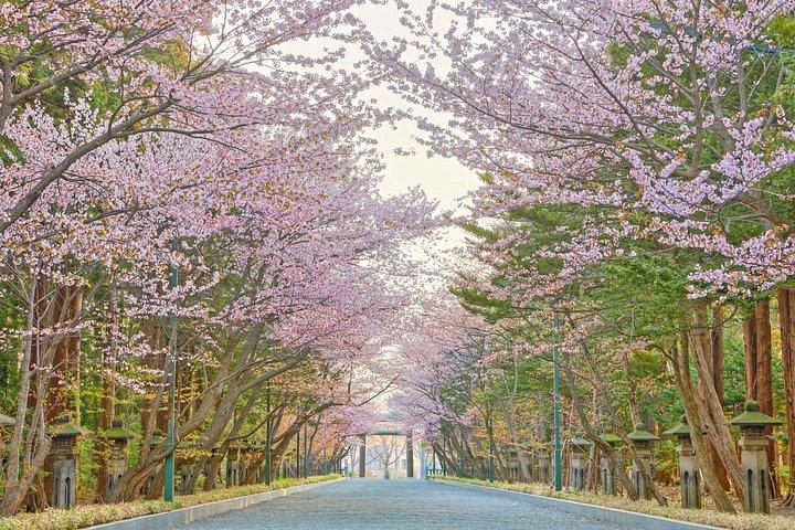 Gemütliche Kyoto Halbtagestour