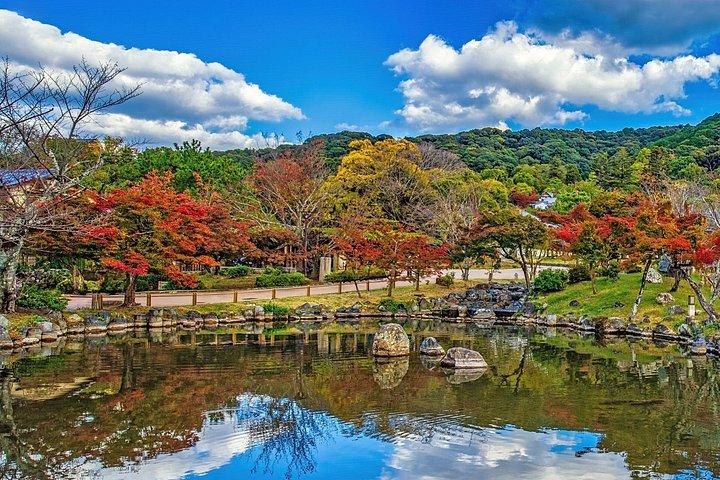 Gemütliche Kyoto Halbtagestour