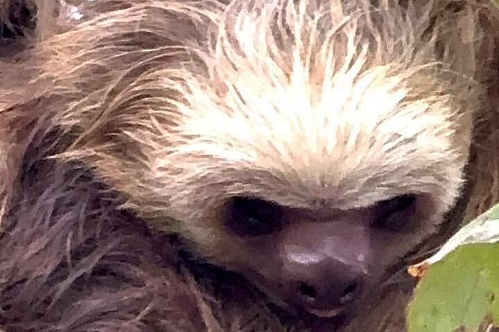 ネイティブ自然主義ガイドによるカウイタ国立公園ガイドハイキング