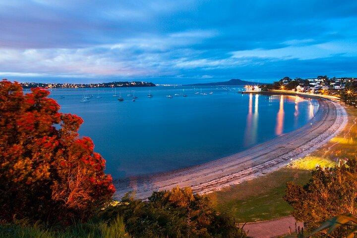 Explorez EAST AUCKLAND & Scenic View Ferry Retour - Excursion d'une demi-journée
