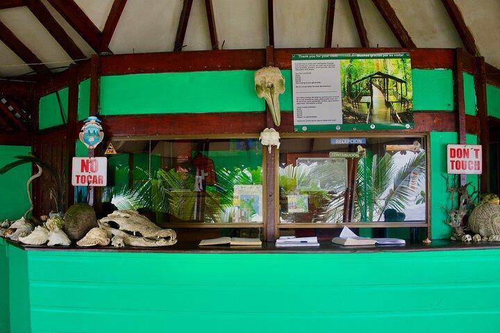 Discover Cahuita National Park Tour