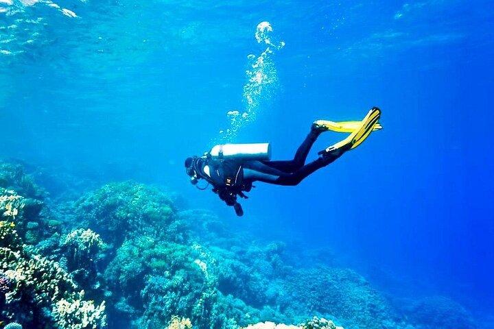 Hurghada Begynder Dykning med 2 Dive & Lunch
