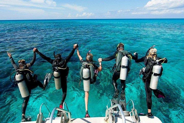 Hurghada Begynder Dykning med 2 Dive & Lunch