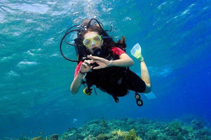 Hurghada Begynder Dykning med 2 Dive & Lunch