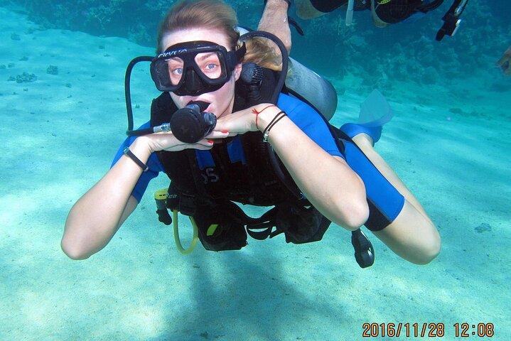 Hurghada Begynder Dykning med 2 Dive & Lunch