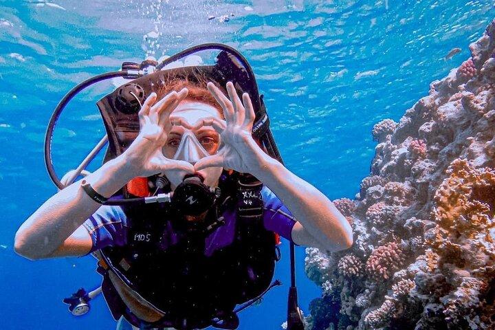 Hurghada Begynder Dykning med 2 Dive & Lunch