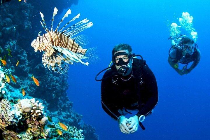 Hurghada Begynder Dykning med 2 Dive & Lunch