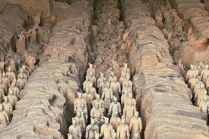 Half day tour to Terracotta Warriors Museum with Biangbiang Noodle lunch