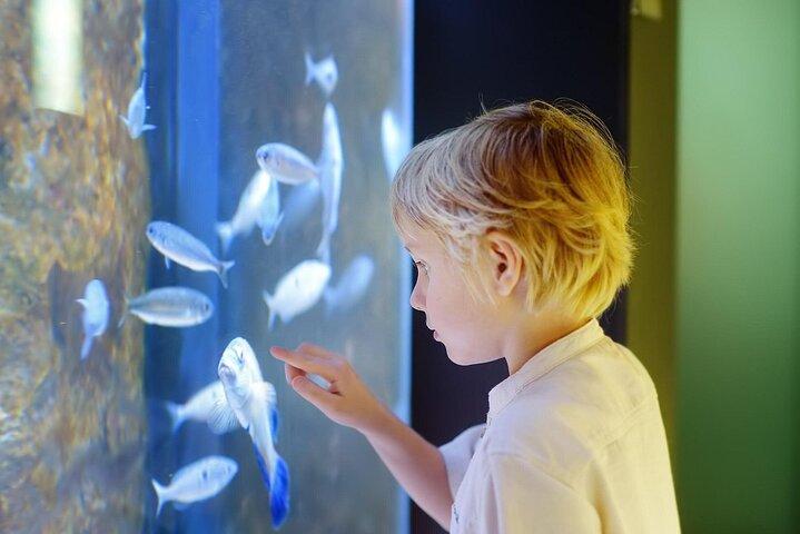 Hoteller i nærheden af Hurghada Grand Aquarium
