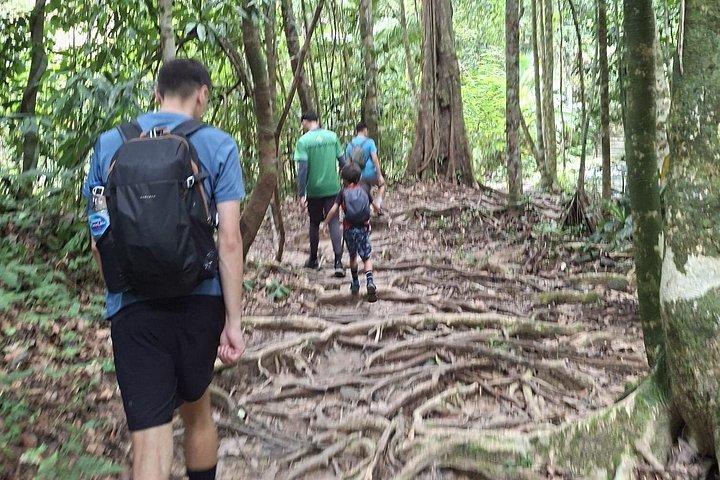 カオラックの滝と湖半日サイクリングツアー（昼食付き）