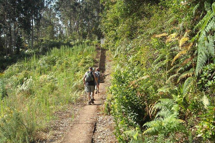 Madeira: Levada Referta - Guidad promenad i Castelejo