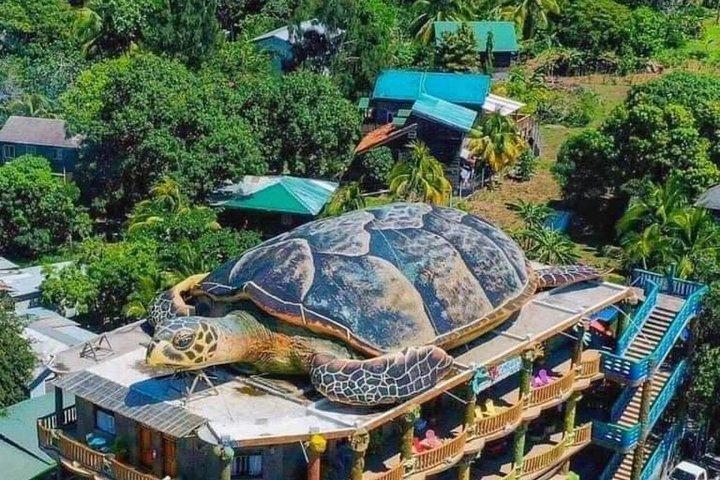 Roatan Sloths + Island Tour