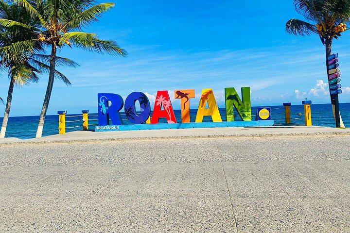 Roatan Sloths + Island Tour
