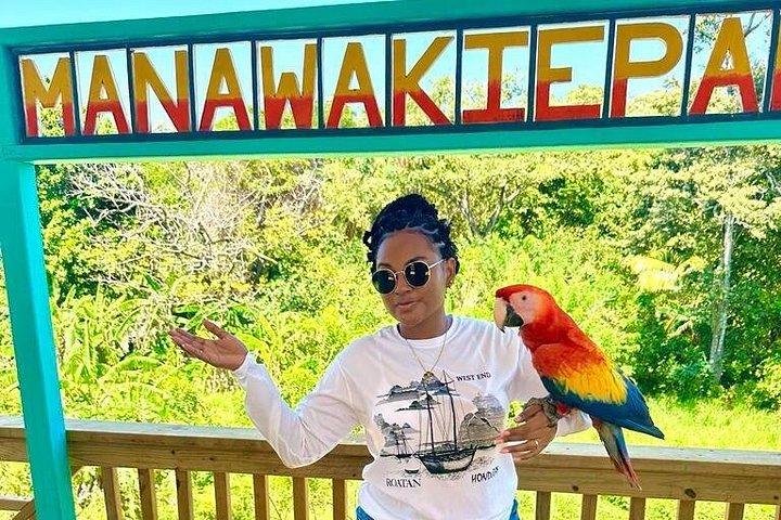 Roatan Sloths + Island Tour