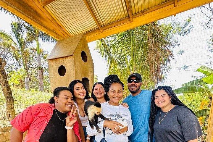 Roatan Sloths + Island Tour