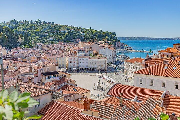 Costa Eslovena de Trieste - Tour Privado