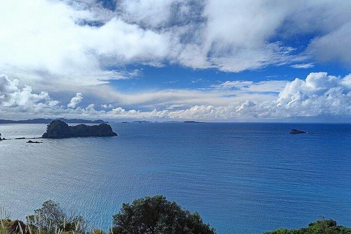 Cathedral Cove & Hot Water Beach mit Mittagessen ab Auckland