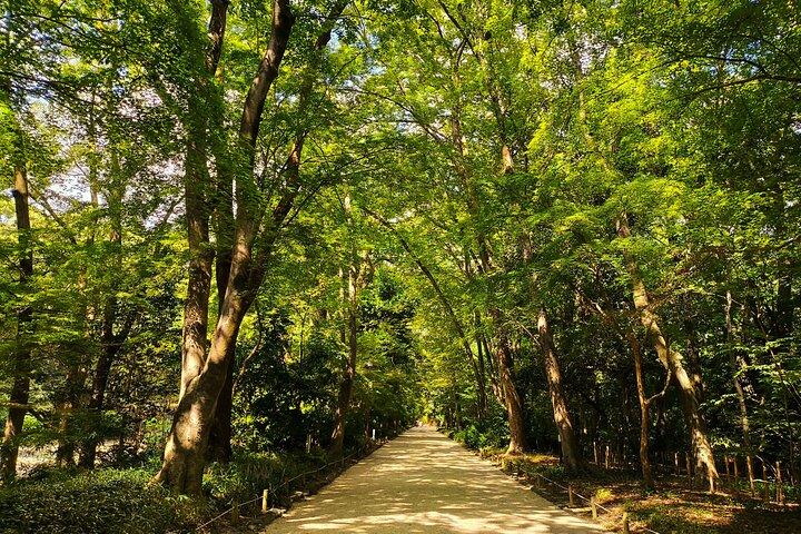 京都オフ・ザ・ビートン・パス：隠れた禅園＆魔導神社