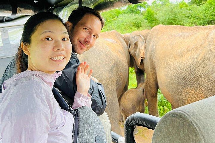 ウダワラウェサファリオールインクルーシブパーク入場、ジープ＆食事