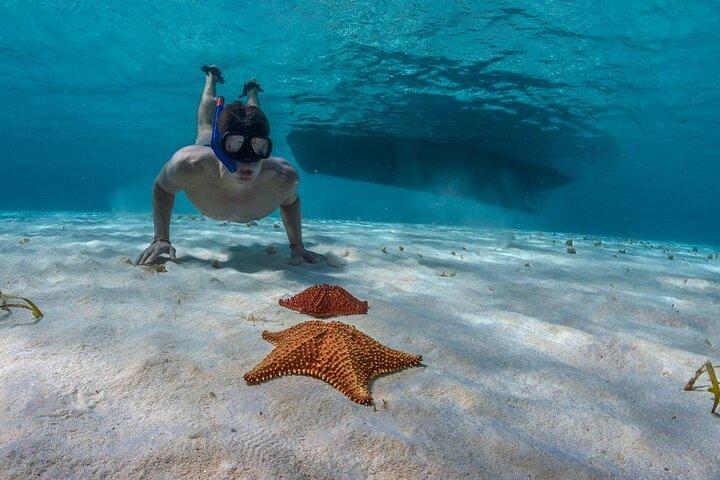 Cozumel 3 Reefs Snorkeling