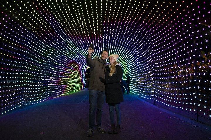 Bronx Zoo Holiday Lights Adgangsbillet