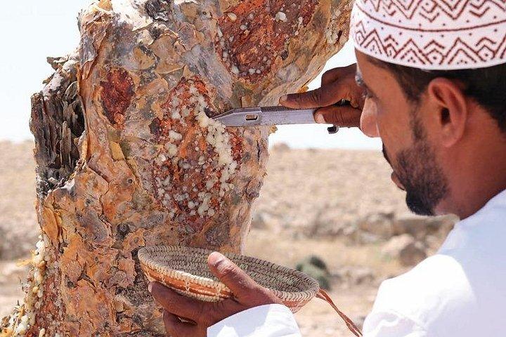 Rub al Khali Sunset Safari: Private 4WD Tour