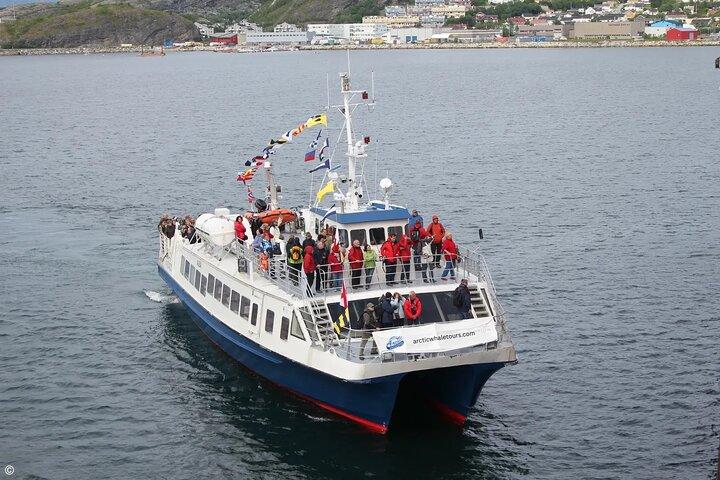 Tromso: Responsible Whale Watching Cruise (MS Alba)