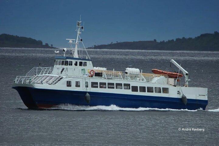 Tromso: Responsible Whale Watching Cruise (MS Alba)