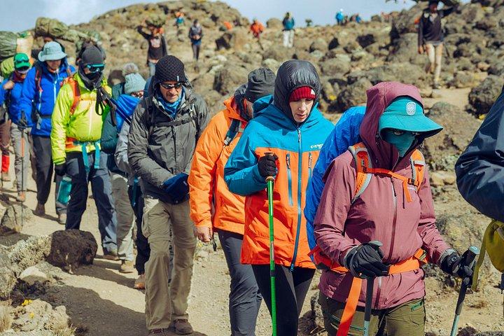 8日間のキリマンジャロ山レモショルートトレッキング